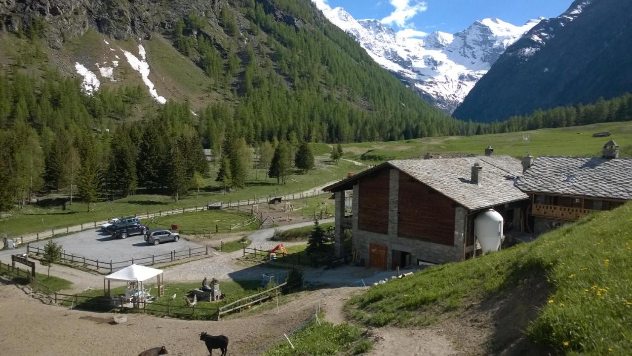 La Ferme Du Grand Paradis Когне Екстериор снимка