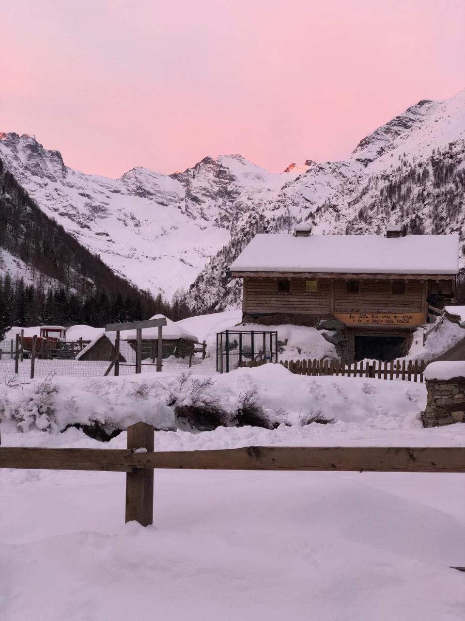 La Ferme Du Grand Paradis Когне Екстериор снимка